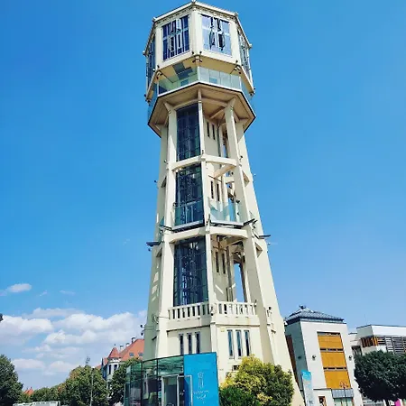 Siofox Siofok