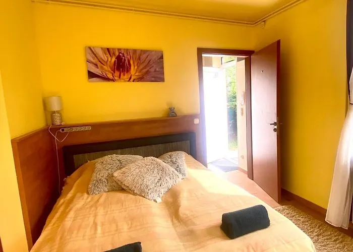 Siofox Apartamento *