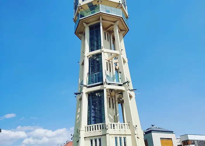 Siofox Siófok